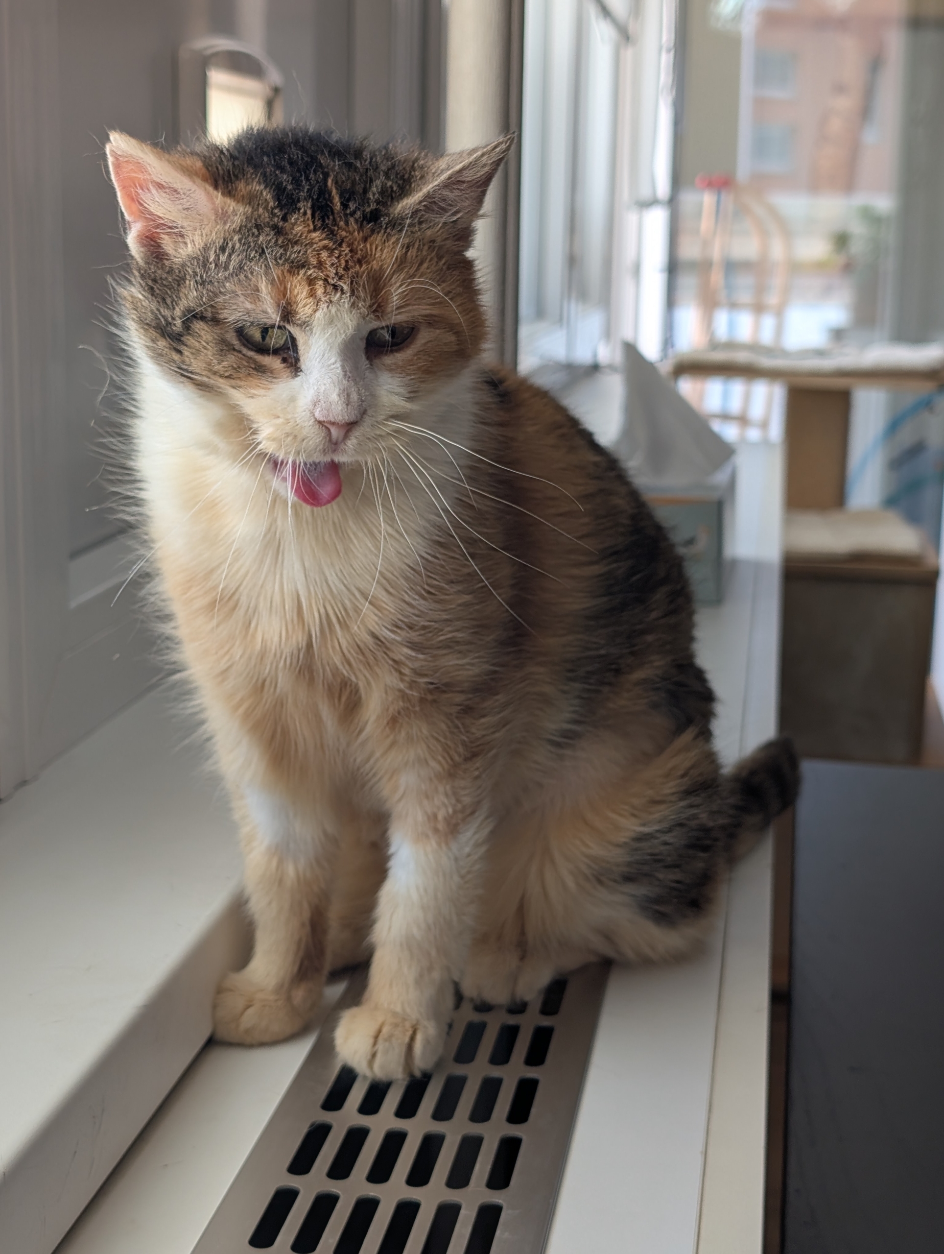 Ludmilka - Obrázek 5